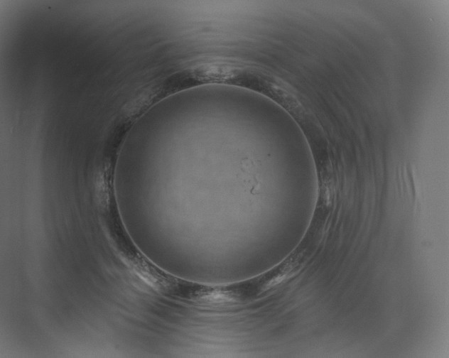 X0000074040460200608211523