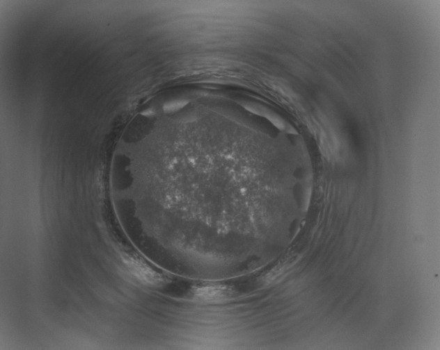 X0000074040461200608211523