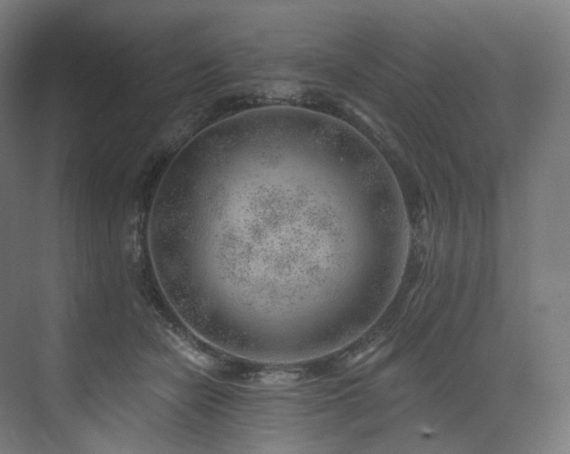 X0000074040462200608211523