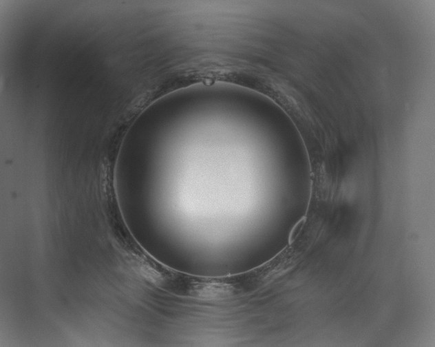 X0000074040463200608211523