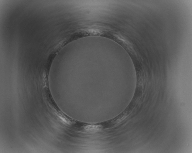 X0000074040465200608211523