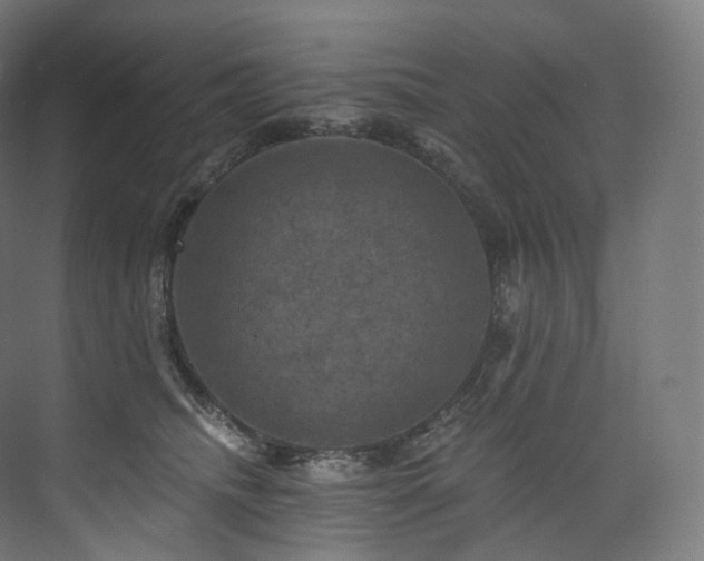 X0000074040468200608211523