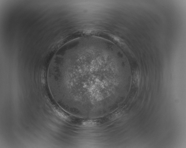 X0000074040470200608211523