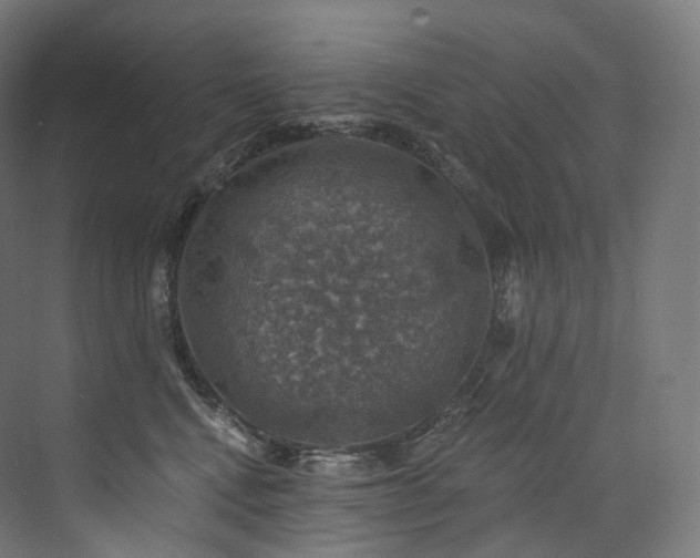 X0000074040472200608211523