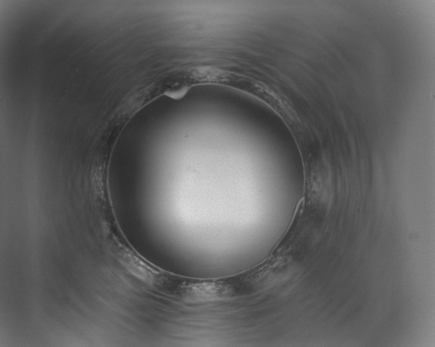 X0000074040473200608211523