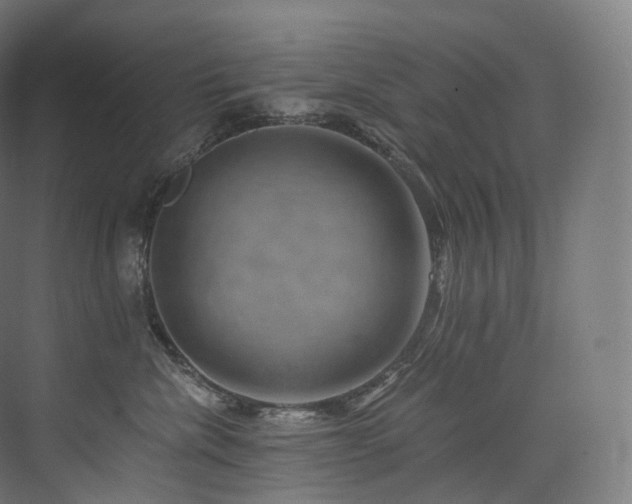 X0000074040476200608211523