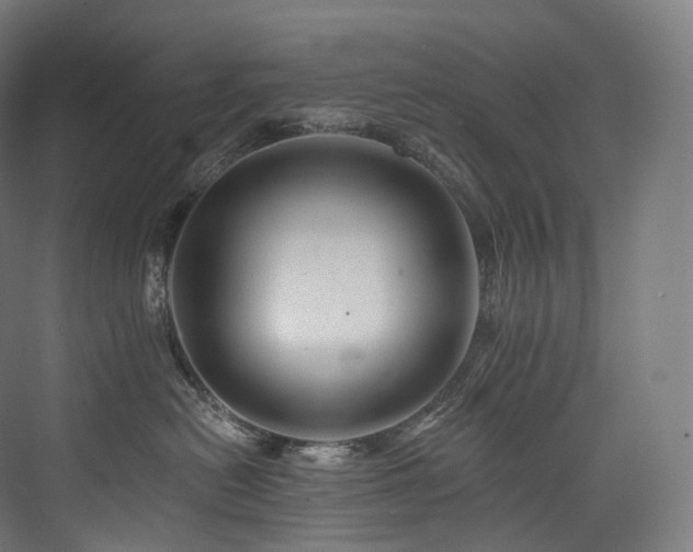 X0000074040478200608211523