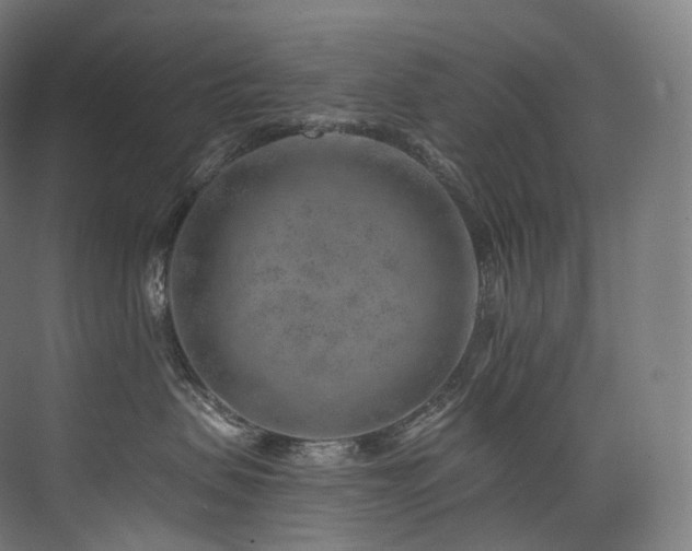 X0000074040479200608211523