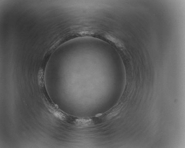 X0000074040480200608211523