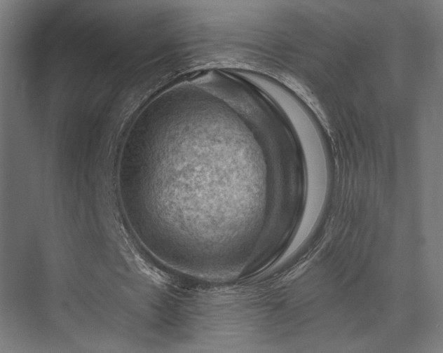 X0000074040481200608211522