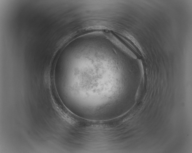 X0000074040482200608211522