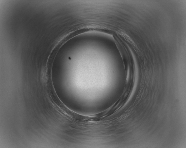 X0000074040484200608211522