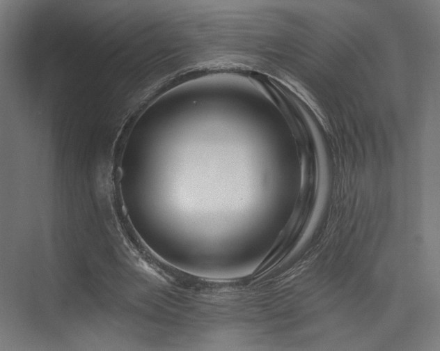 X0000074040485200608211522