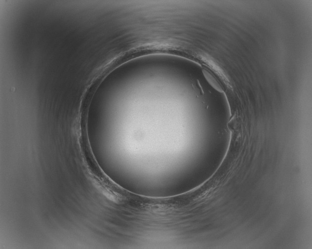 X0000074040486200608211522