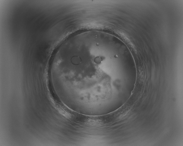 X0000074040487200608211522