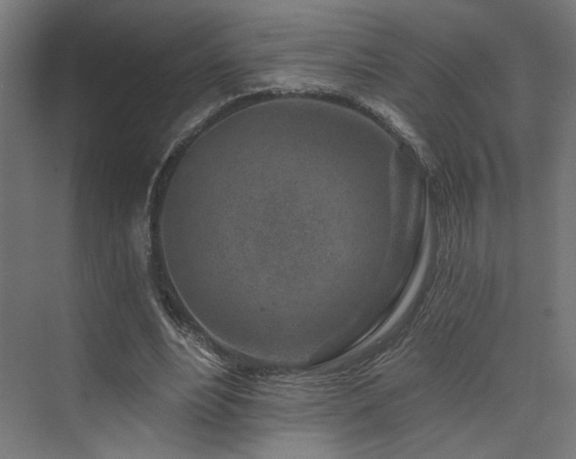 X0000074040488200608211522