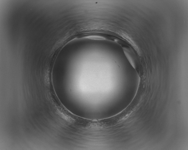 X0000074040489200608211522