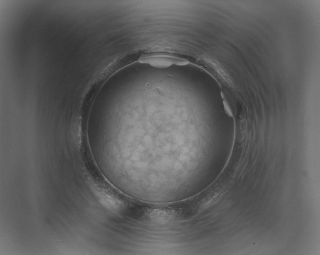 X0000074040494200608211522