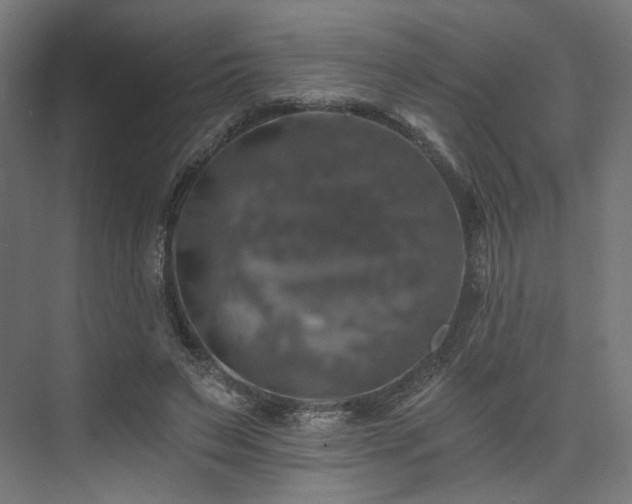 X0000074040495200608211522