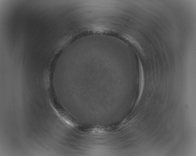 X0000074040496200608211522