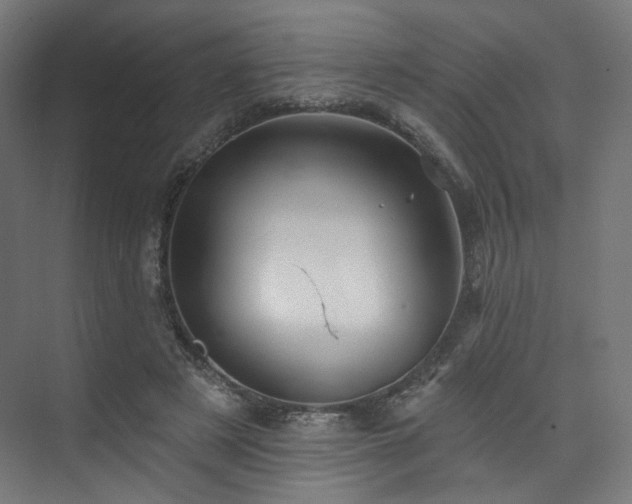 X0000074040497200608211522