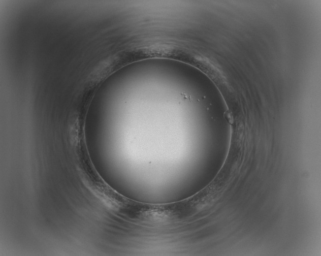 X0000074040498200608211522