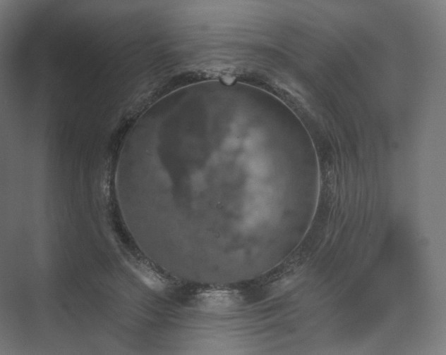 X0000074040499200608211522