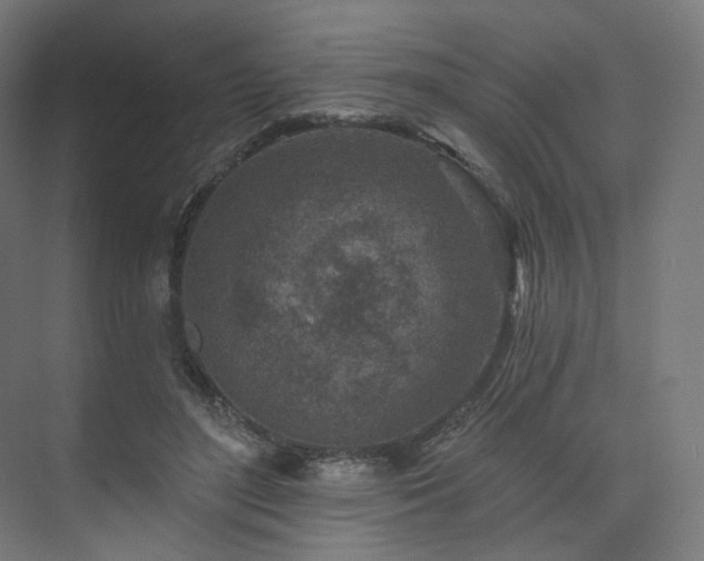 X0000074040500200608211522