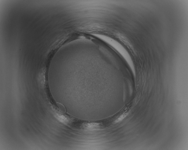 X0000074040501200608211522