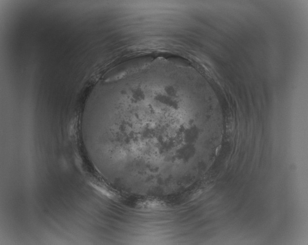 X0000074040503200608211522