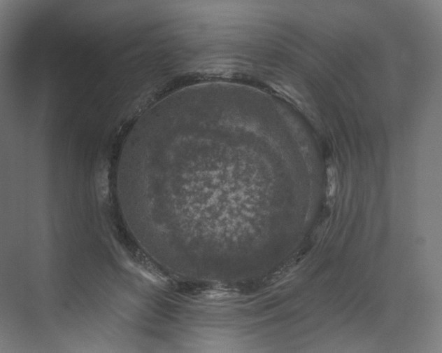 X0000074040504200608211522