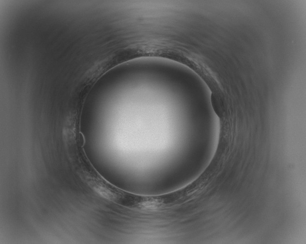 X0000074040505200608211522