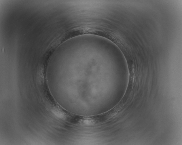 X0000074040506200608211522