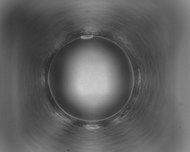 X0000074040508200608211522