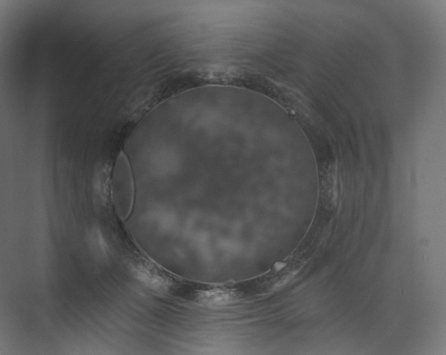 X0000074040511200608211522