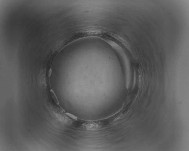 X0000074040512200608211522