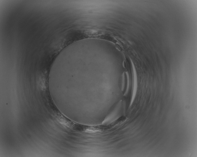 X0000074040515200608211522