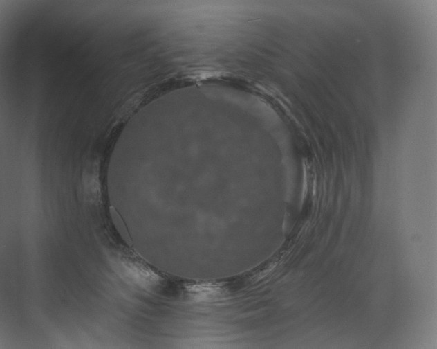 X0000074040516200608211522