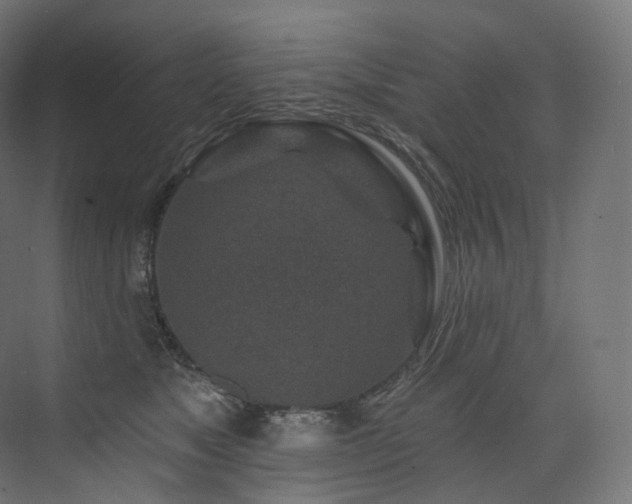 X0000074040517200608211522