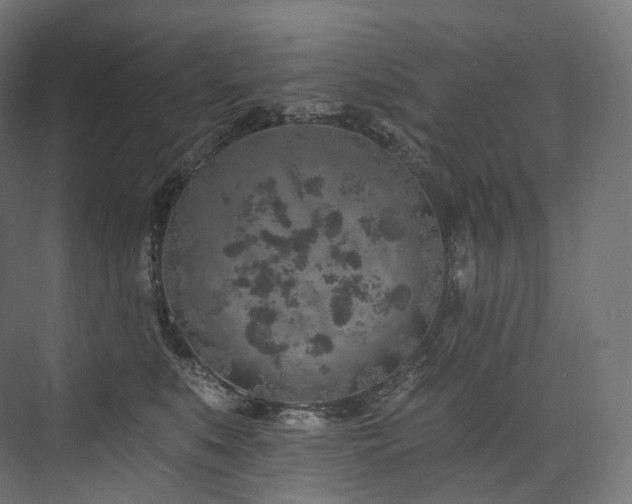 X0000074040519200608211522