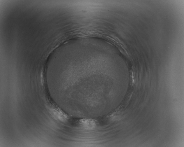 X0000074040520200608211522