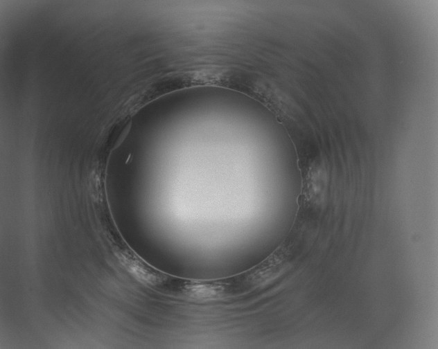 X0000074040522200608211522