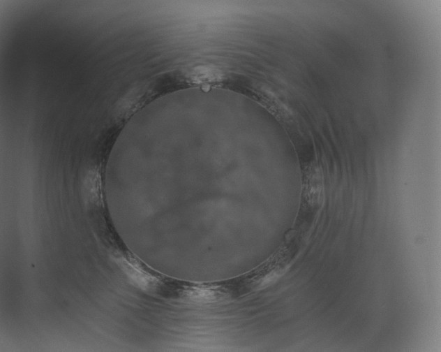 X0000074040523200608211522