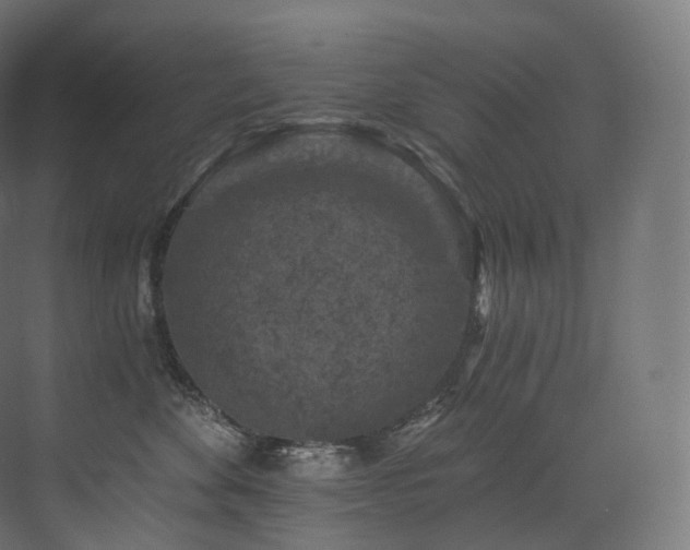 X0000074040524200608211522