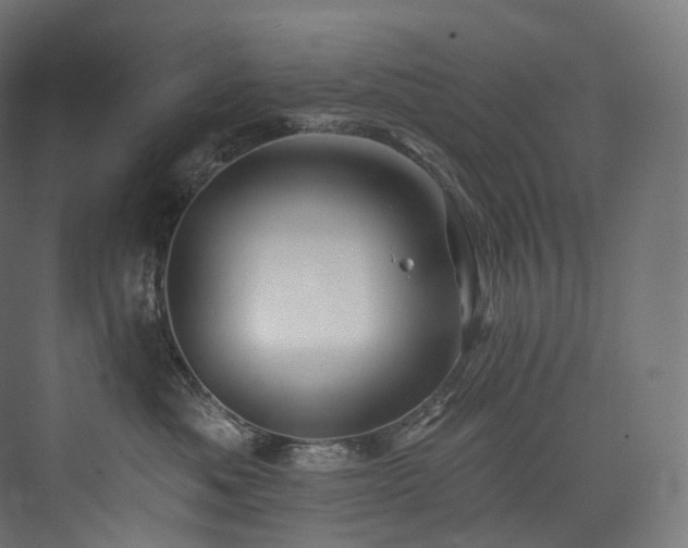 X0000074040525200608211522