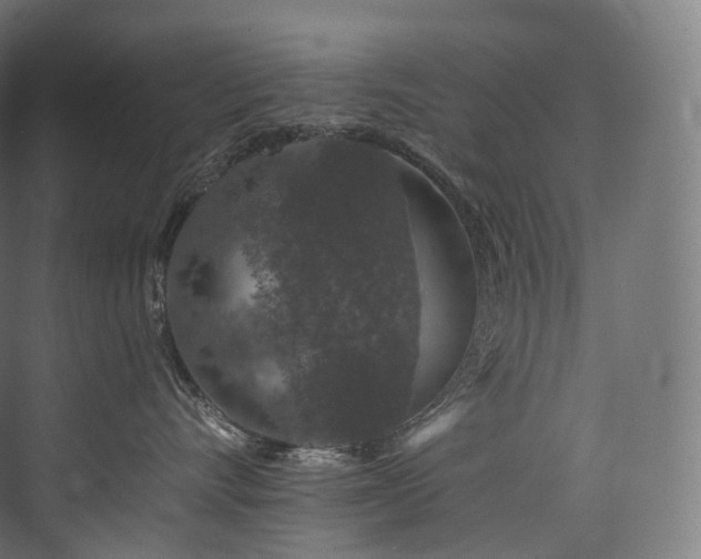 X0000074040528200608211522