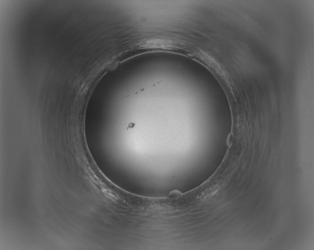 X0000074040529200608211521