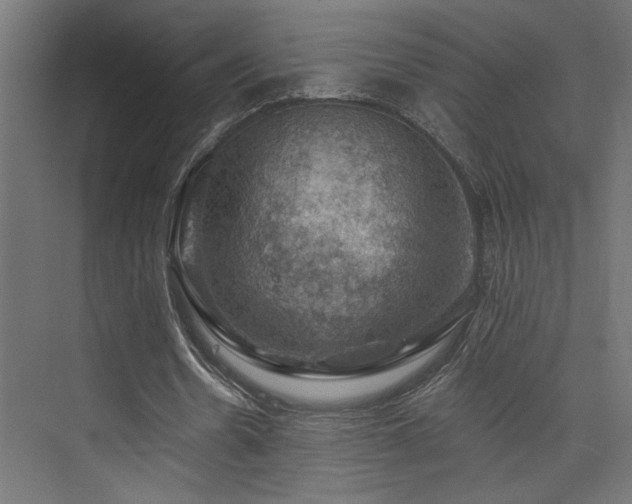 X0000074040530200608211521