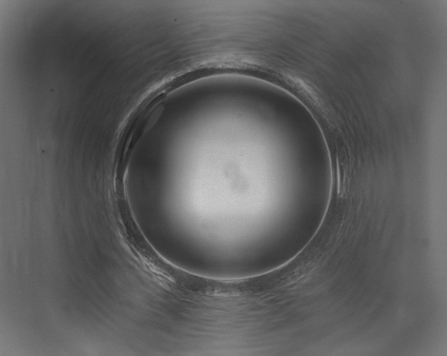 X0000074040531200608211521