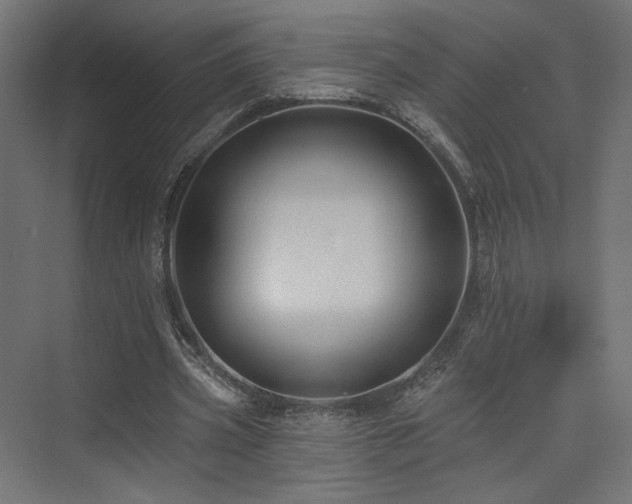 X0000074040533200608211521